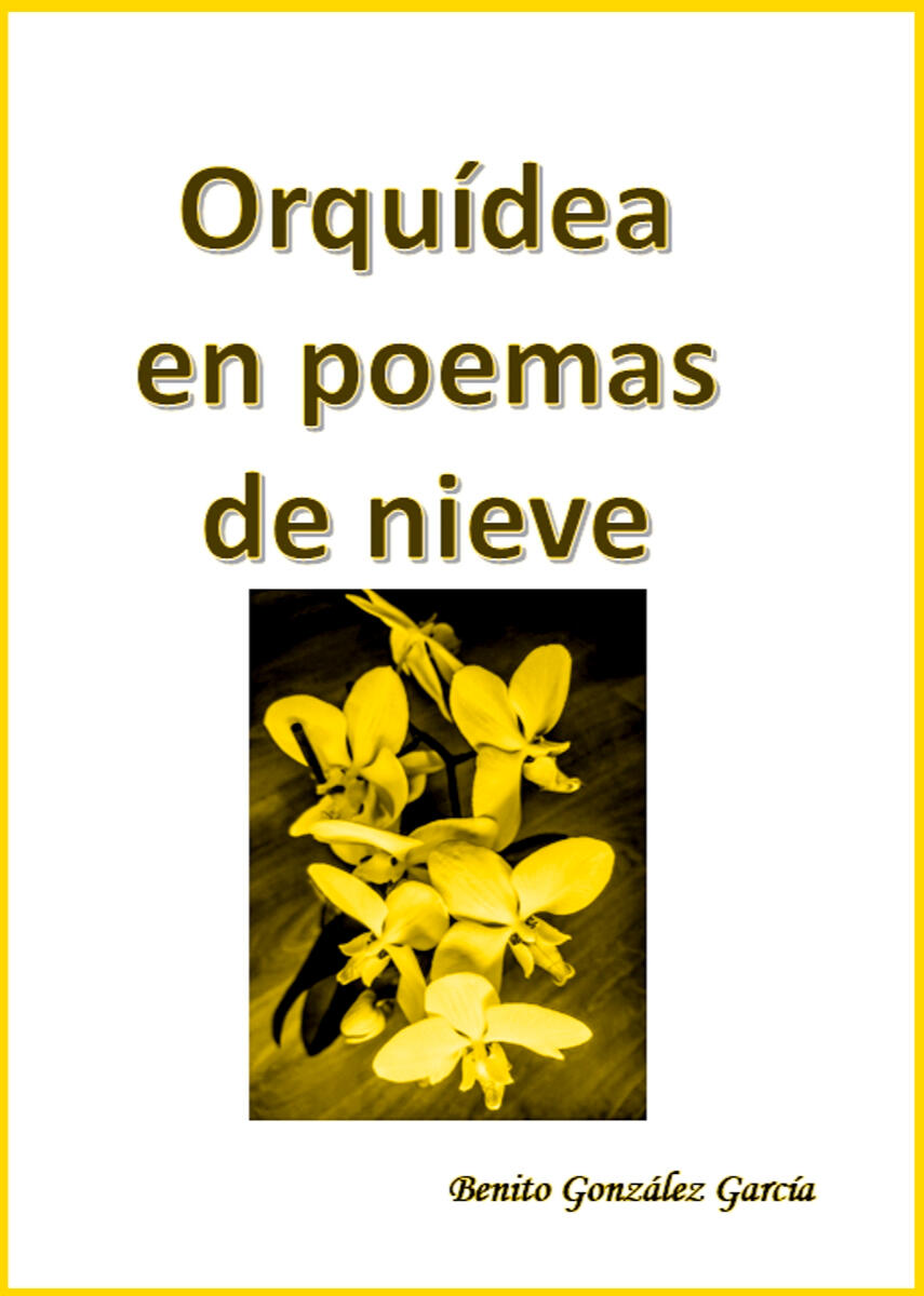 Tiempo de espinas fue su primera novela ambientada en la repoblación de Salamanca, en el siglo XII. Narra las dificultades que pasaban las personas que llegaban de otras zonas para asentarse en la ciudad.